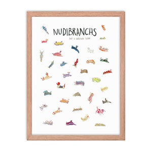 Nacktschnecken + Harlekin Garnele Art Print, Ocean Science Poster für Kinderzimmer, Taucher Geschenk, Ocean Lover Art Print, Nautical Wall Art