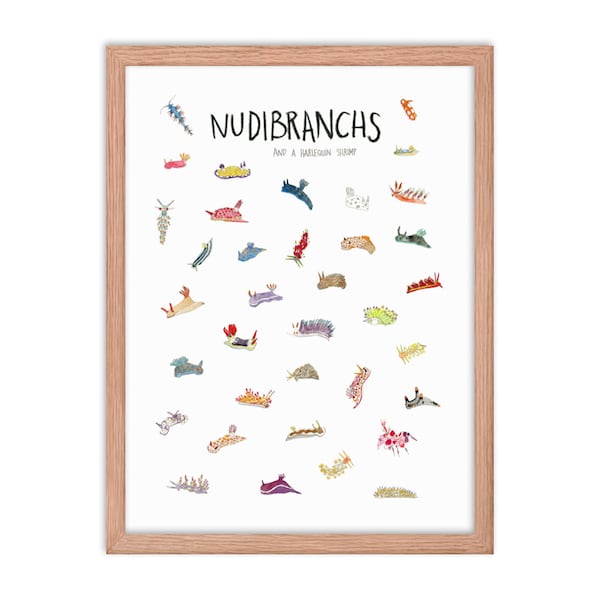 Nudibranches + Crevettes arlequines Impression d’art, Affiche des sciences océaniques pour pépinière, Cadeau de plongée sous-marine, Impression d’art amoureux de l’océan, Art mural nautique