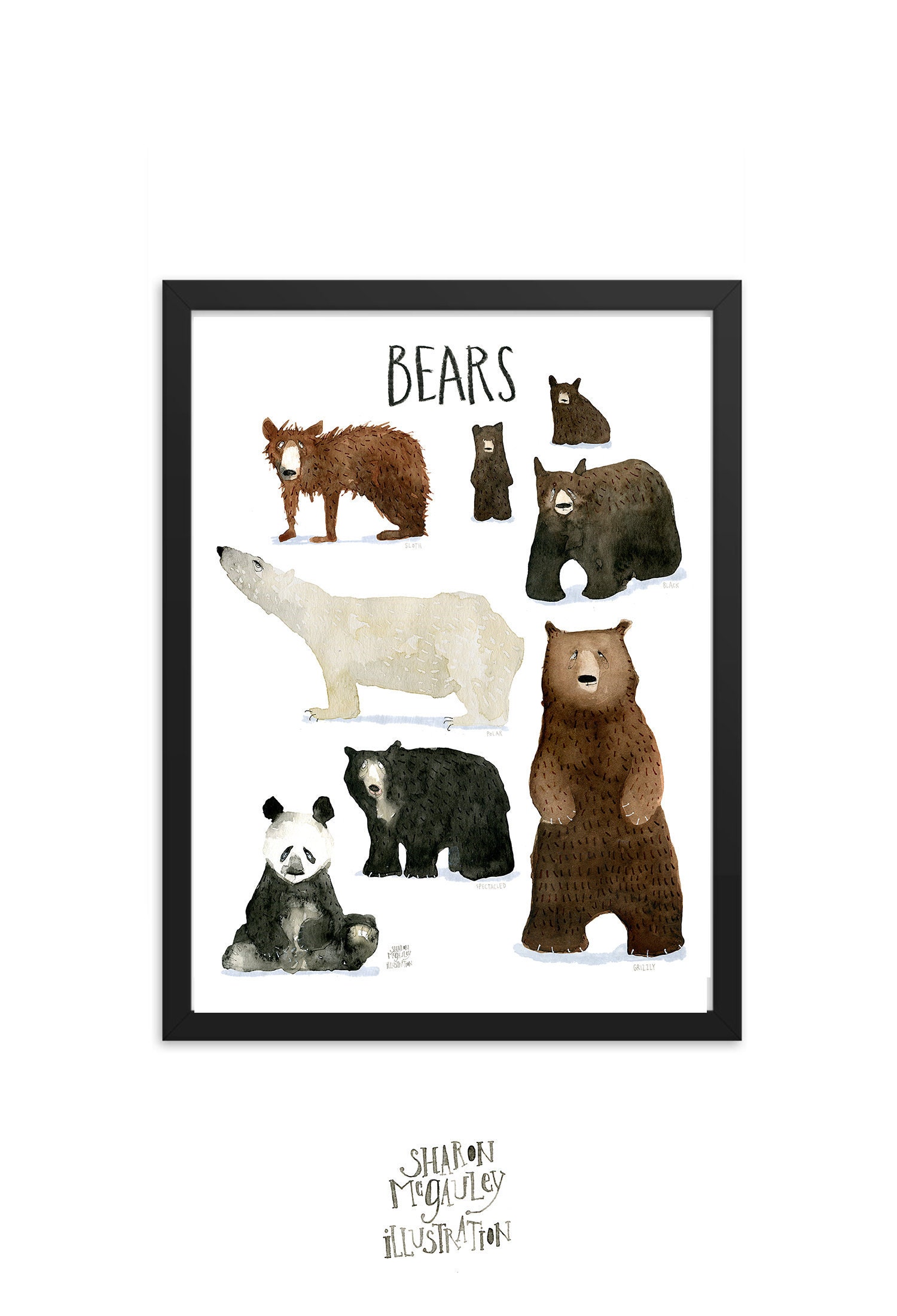 Bears of the World Animal Art Print Bear Family Science | Etsy