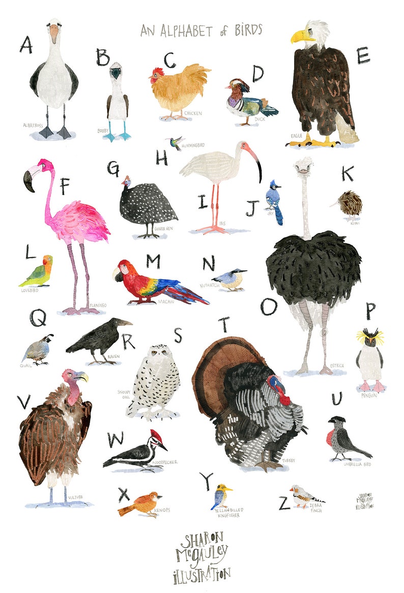 Flamingo Bird Art Poster for Nursery or Childs Room Flamingo Art Print for bird lovers