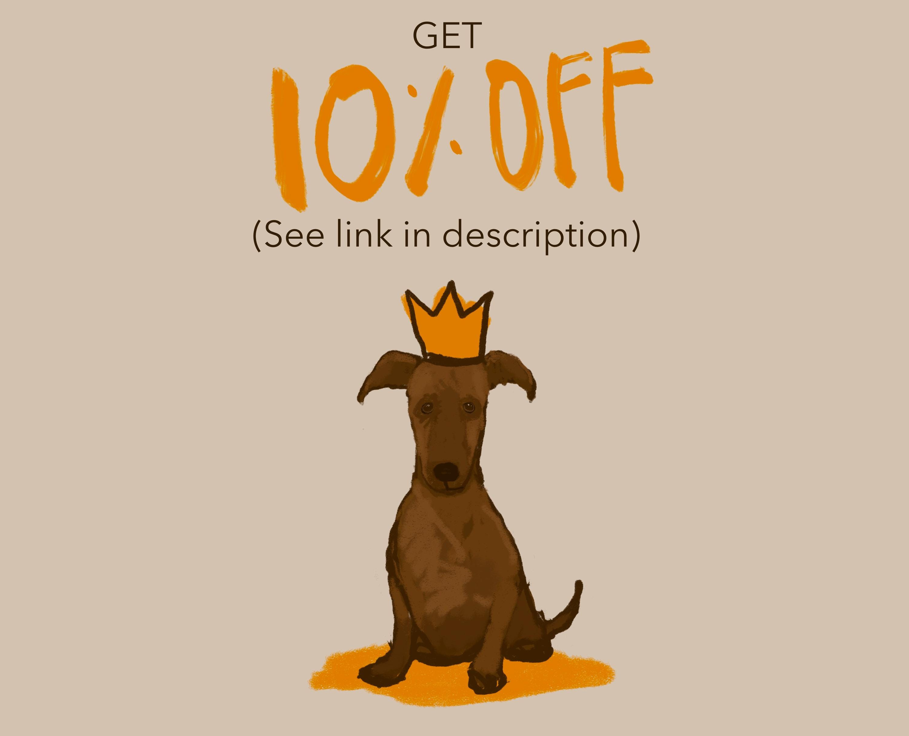 Funky Pet Portrait, Modern Dog Art, Custom Pet Portrait, Fun
