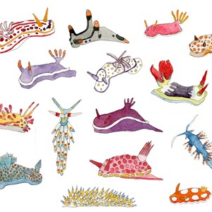 May include: Watercolor painting of 14 colorful sea slugs, also known as nudibranchs, with various patterns and textures. The sea slugs are depicted in a variety of poses, some are curled up, some are stretched out, and some are swimming. The painting is done in a whimsical style, with bright colors and bold lines.