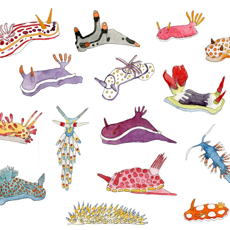 May include: Watercolor painting of 14 colorful sea slugs, also known as nudibranchs, with various patterns and textures. The sea slugs are depicted in a variety of poses, some are curled up, some are stretched out, and some are swimming. The painting is done in a whimsical style, with bright colors and bold lines.