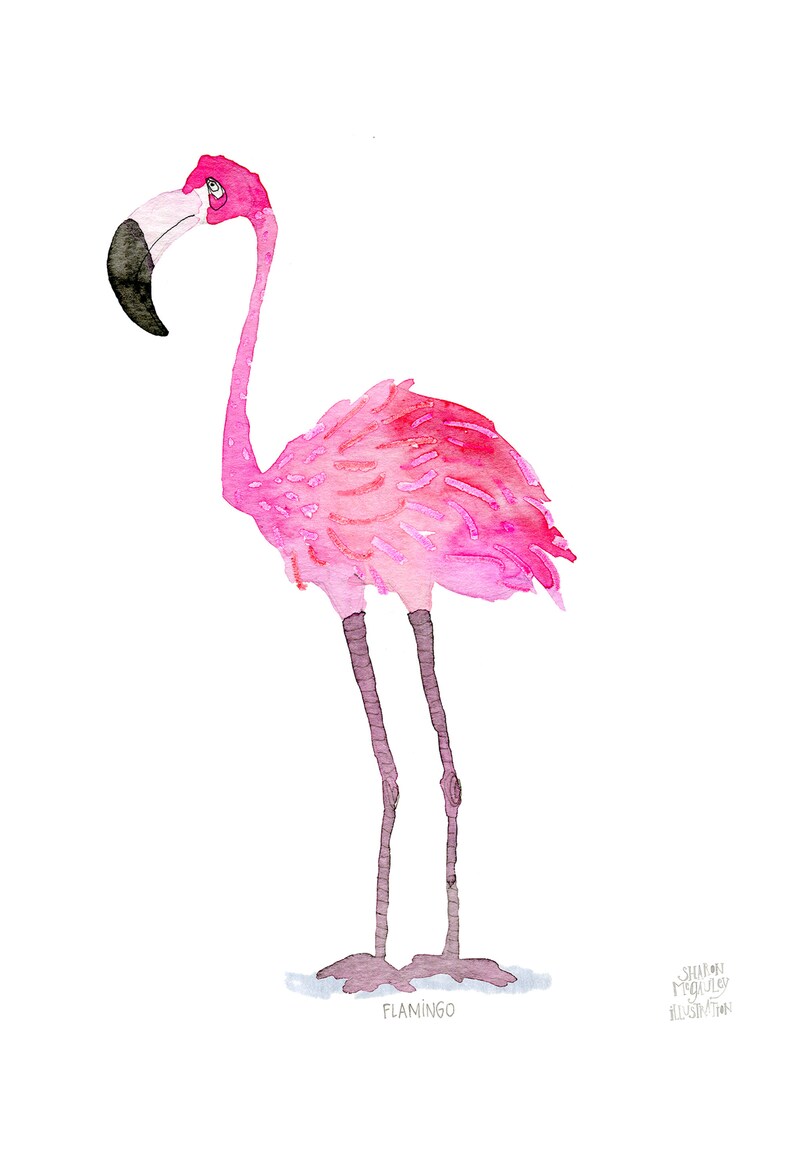 Flamingo Bird Art Poster for Nursery or Childs Room Flamingo Art Print for bird lovers