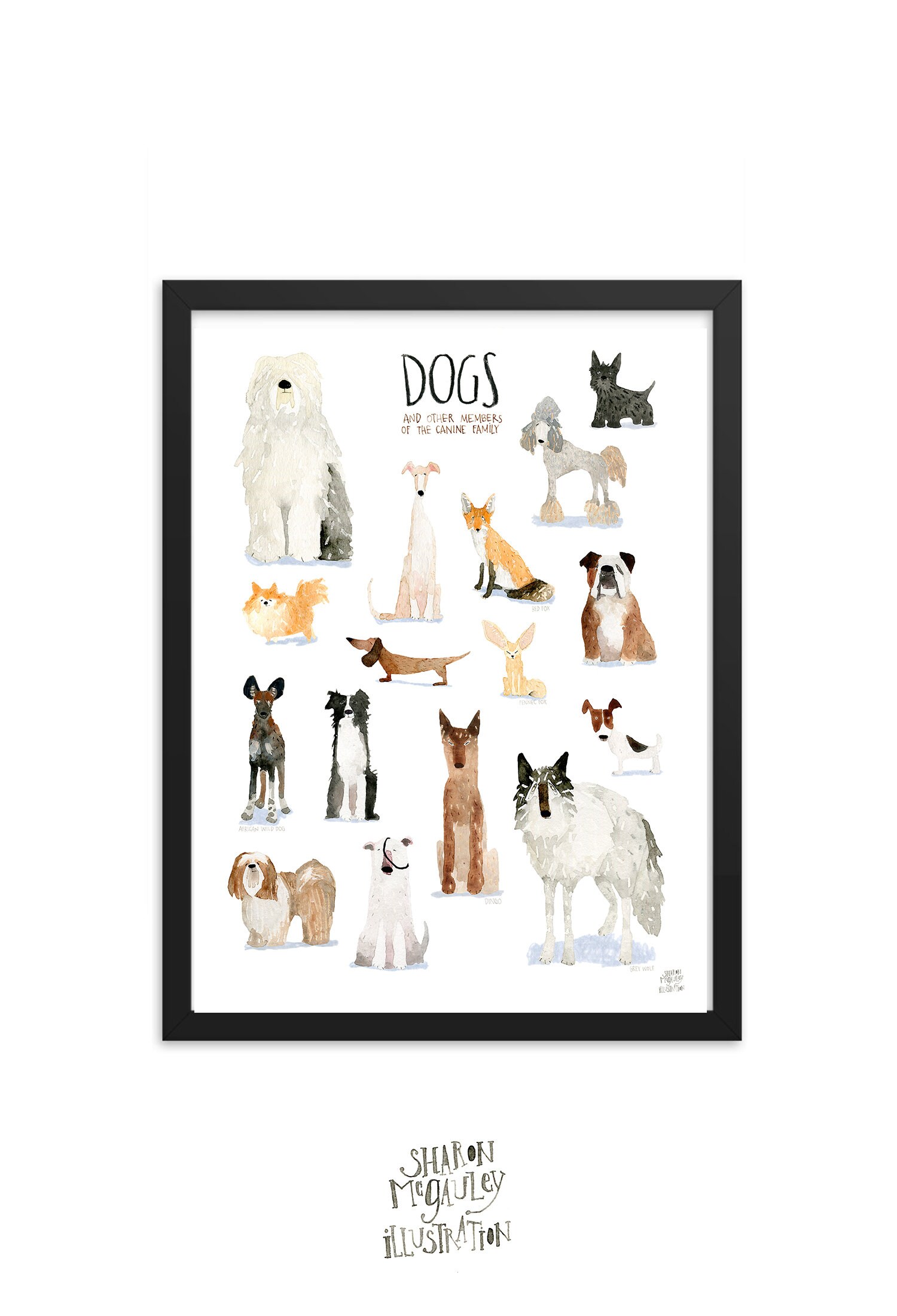 Dogs Wolves Foxes Animal Art Print Dogs of the World - Etsy Australia Dogs Wolves Foxes Animal Art Print Dogs of the World - Etsy Australia