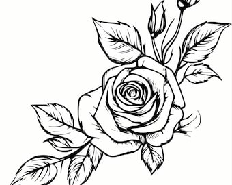 Rose SVG & PNG Graphic