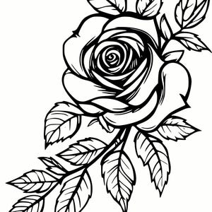 Angolo rosa con viticci SVG e PNG