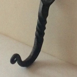 May include: A hand-forged, black iron hook with a twisted handle and a curved end. The hook has a pointed top and a small hole near the top. The metal has a textured, matte finish.