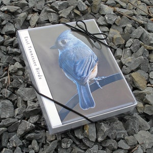 Boxset met fotokaart East Tennessee Birds blanco kaart 8 stuks met enveloppen 4 x 5,5 vink mees thrasher mees
