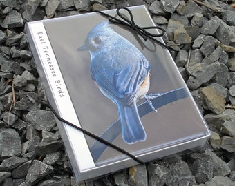 East Tennessee Birds Photo Note Card Set: Blank Fine Art Cards