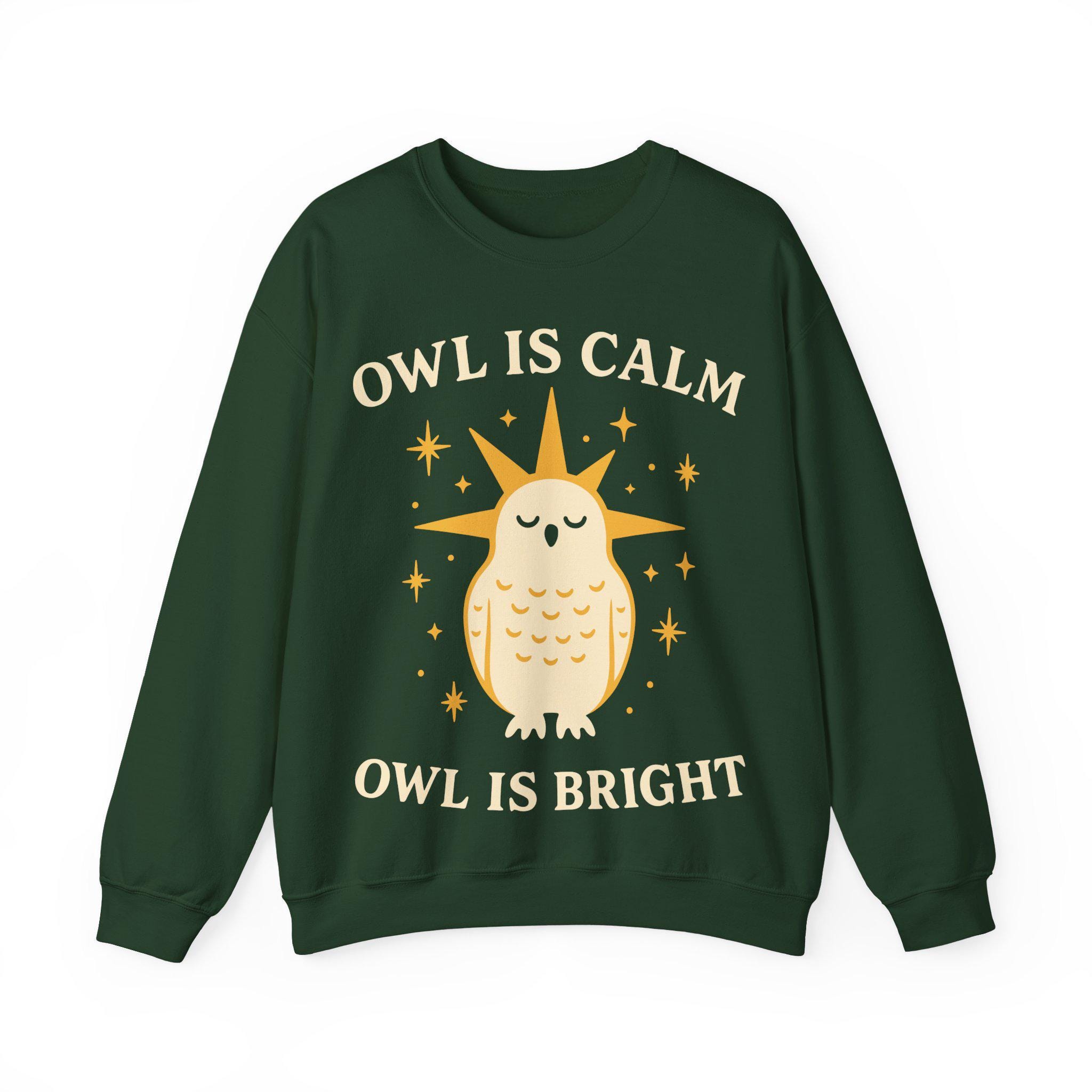 Christmas Owl Sweatshirt: Funny Holiday Pullover, Cozy Winter Apparel