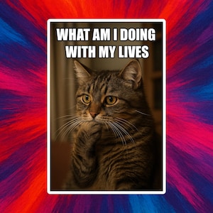Funny Cat Existentiële Crisis Sticker - What an I Doing with my lives Meme - Hilarious Moody Kitty vinylsticker voor laptop, waterfles