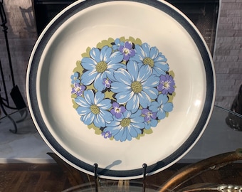 Vintage Blue Shasta Stoneware Dinner Plates 10.5” Designers Collection Rustic Farmhouse Blue Speckled Plates Each Sold Separately