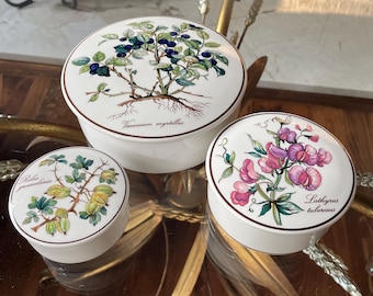 Vintage Villeroy & Boch Flora Poppy Plates: German Porcelain