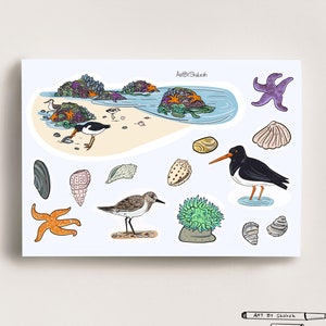 May include: A set of colorful stickers featuring a beach scene with birds, seashells, starfish, and seaweed. The stickers are perfect for adding a touch of whimsy to your journals, planners, or laptops.