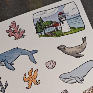 May include: A set of colourful stickers featuring ocean-themed illustrations, including a blue whale, a starfish, a coral reef, a lighthouse, a seal, and a seashell.