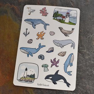 May include: A sheet of stickers featuring a variety of ocean-themed illustrations, including whales, seagulls, starfish, seashells, a lighthouse, and a seal. The stickers are on a white background and have a hand-drawn style.