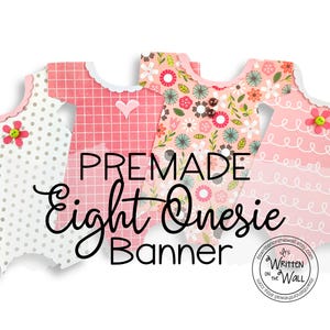 Premade #2 Baby Banner, Baby Girl, Pink Baby Shower, Garland