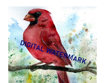 Cardinal Watercolor - Backyard Bird - Digital Download