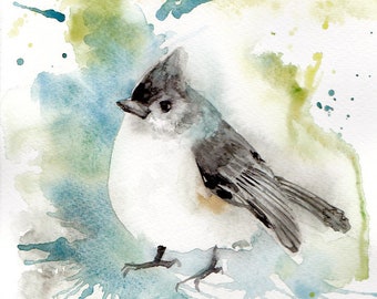 Acuarela original de un carbonero bicolor - Boceto de aves de jardín del estudio de la naturaleza y la vida silvestre de Virginia