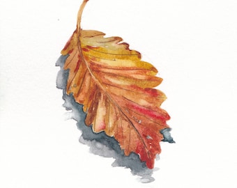 Beech Tree Leaf Painting - Artist Original Watercolor Painting - Fall Decor