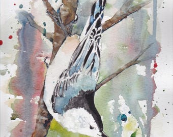 Pintura original de acuarela de trepador azul: Arte de pájaro firmado, 9x12