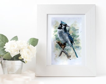 Blue Jay Watercolor - Backyard Bird - Digital Download