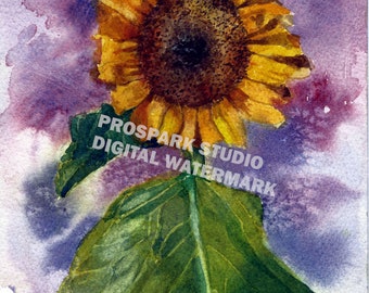 Watercolor Sunflower - Digital Download