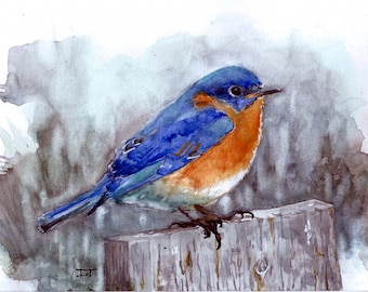 Lámina de acuarela de pájaro azul: Obra de arte de aves firmada