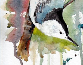 Lámina de acuarela de trepador azul: Obra de arte de aves firmada