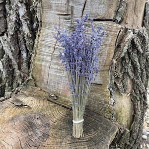 Dried English Lavender Bunch - Lavender Bouquet (200 stems) - Fragrant Dried English Lavender - DIY Wedding Flowers for bouquets