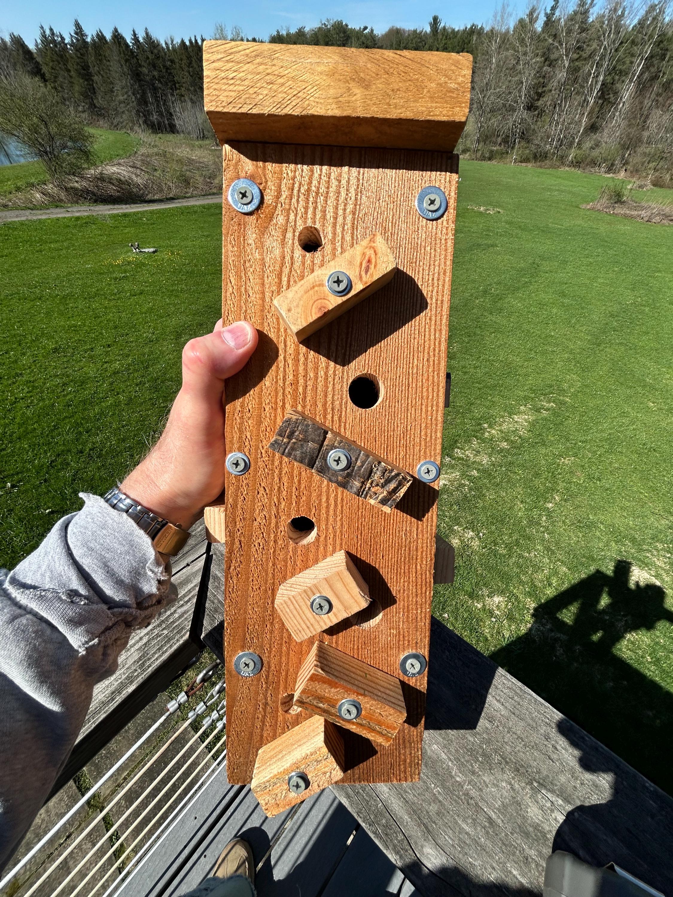 Handmade Woodpecker Bird Feeder: Black-Oil Sunflower Seed Feeder