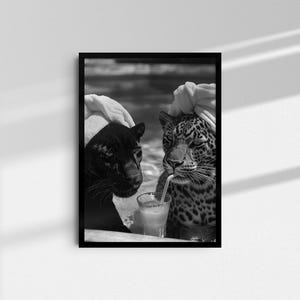 May include: Black and white photo of two leopards wearing towels on their heads, sitting at a table with a drink. One leopard is drinking from a straw.