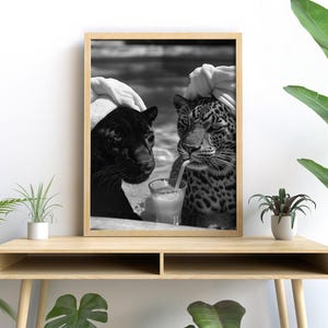 May include: Black and white photo of two leopards wearing white towels on their heads, sitting side by side and drinking from straws out of glasses.
