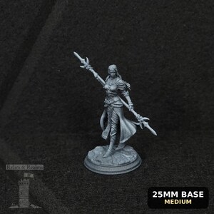 Paladín Drow de la Luna Creciente - Ninera Glynvari - Paladín Drow - D&D PF2e - Miniatura lista para pintar