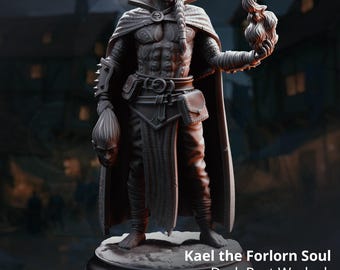Half-Elf Blood Warlock - Kael the Forlorn - D&D | PF2e | TTRPG - 3D Printed Resin - Paint Ready Mini
