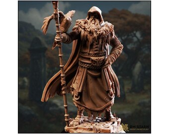 The One Eyed Wanderer - Odin -Sorcerer - D&D | PF2e | TTRPG - 3D Printed Resin - Paint Ready Mini