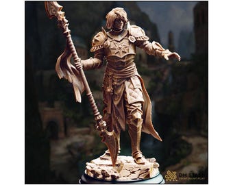 Dark Sun Paladin - Vendimar Thyran -Dark Elf Paladin - D&D | PF2e | TTRPG - 3D Printed Resin - Paint Ready Mini