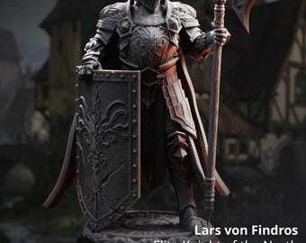 Elite Knight - Lars von Findros -Human Knight - D&D | PF2e | TTRPG - 3D Printed Resin - Paint Ready Mini