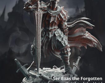 Void Knight - Ser Elias the Forgotten - Knight - D&D | PF2e | TTRPG - 3D Printed Resin - Paint Ready Mini