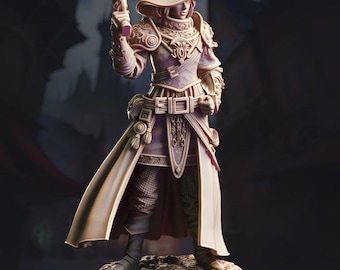 Human High Inquisitor - Lady Cirilia -Human Fighter - D&D PF2e - Paint Ready