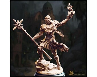 Dark Cult Leader - Hand of Seroca -Elf Warlock - D&D PF2e - Resin 3D Printed - Paint Ready Mini