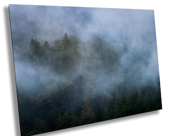 Mount Tamalpais Fog Print – California Forest Landscape Wall Art