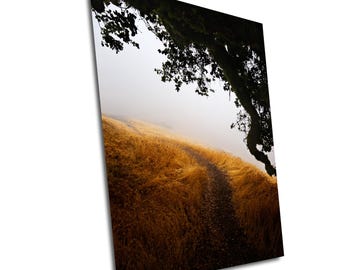 Puede incluir: Un camino sinuoso atraviesa un campo de hierba alta y dorada, desapareciendo en la niebla. Una gran rama de árbol cuelga por encima, proyectando una sombra sobre la escena.