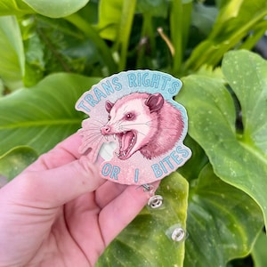Bobine d'insigne drôle pour les droits des personnes trans - Clip d'identification d'infirmière LGBTQ+ Possum Mordant, Porte-badge inclus mignon pour cadeaux de fierté, Clip d'insigne LGBT Opossum