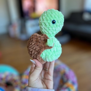 May include: A green crocheted turtle plush toy with brown crocheted shell. The toy has a single blue eye.