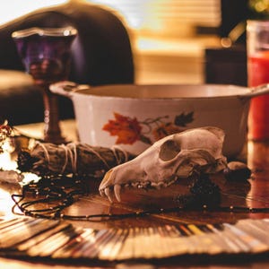 May include: A still life arrangement featuring a fox skull, a white and orange floral-decorated bowl, a purple glass, and a bundle of sage. A black beaded necklace and tarot cards are also visible on the wooden surface.