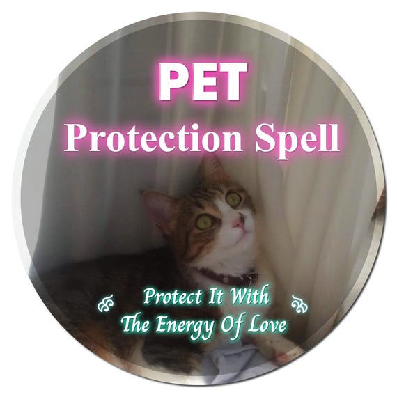 Pet Protection Spell | Safety & Comfort Energy Work | Healing, Bonding and Peaceful Companion Ritual | Same Hour or Day