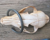 Anvil Forged Iron Bracelet Burnished Viking Torc torque Celtic