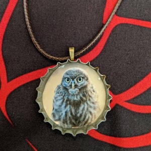 Pygmy Owl Necklace, Bottle Cap, Corded Necklace